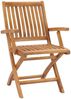 vidaXL Klappbare Gartenstühle mit Kissen 6 Stk. Massivholz Teak 3072775 Bild 3