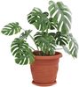 vidaXL Runde Blumenplatte 24 pcs Ziegelrot Ø 23,5 x 2,5 cm Kunststoff 42020318 Bild 3