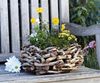 Pflanzer aus Treibholz rund, Ø 38 cm, Pflanzschale, Blumentopf, Pflanztopf, Pflanzgefäß, Gartendeko für Draußen Bild 2