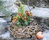 Pflanzer aus Treibholz rund, Ø 38 cm, Pflanzschale, Blumentopf, Pflanztopf, Pflanzgefäß, Gartendeko für Draußen Bild 5
