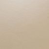 6er-Set Esszimmerstuhl Küchenstuhl Stuhl Latina, LEDER ~ creme, helle Beine Bild 2