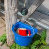 horizont Kunststoff Futterbecher | mit Skala | rot | (1,5 L) Bild 3