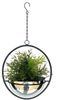 DanDiBo Blumenampel Innen Metall Wand Hängepflanzen 53 cm 96087 M mit Topf Silber Pflanzenhänger Blumenhänger Topfhänger Blumen Blumentopfhänger Hängetopf Bild 3