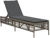 vidaXL Sonnenliege mit Auflage Grau Poly Rattan 4002739 Bild 2
