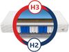 Matratze TITAN 9 Zonen 80x200 Premium Hybrid FOAM Taschenfederkern KOKOS H2 H3 Bild 3