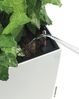 LECHUZA-Pflanzgefäß CUBICO Premium 30 Weiß Hochglanz | Pflanzgefäß mit Bewässerungssystem, Wasserstandsanzeiger und Pflanzeinsatz | Hochglanz-Oberfläche | 29,5 x 29,5 x 56,5 cm | 18181 Bild 2