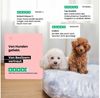 Wahre Tierliebe Tierbett - Orthopädisches Hundebett Deluxe, Deutschlands Original, waschbar, Verschiedene Größen und Farben, extra flauschig Bild 4
