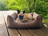 Aumüller Hundesofa Ortho Line, Braun - 100 cm Bild 5