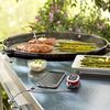 Weber iGrill mini, ein Messfühler, LED Display Bild 2
