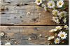 Primedeco Teppich Küchenteppich Holz und Gänseblümchen PVC rutschfest abwaschbar Läufer, Rechteckig, Höhe: 3 mm, Pflegeleicht & Wasserabweisend Bild 3