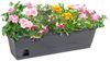 Pflanzkasten Titanic Trog Topf Blumenkübel Kräutergefäß Garten Box Balkon Kiste Bild 2