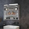 SONNI Badezimmerspiegelschrank Badezimmerspiegel mit dreifarbiger BeleuchtungGroßer Stauraum Bild 2