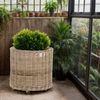Krines Home Allzweckkorb Pflanzkorb groß Rattan XXL Rollkorb Rattankorb Grau Natur Rund, mit Rollen Bild 4