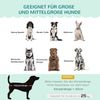 Hundesofa Hundebett erhöht groß mit Polsterung 25kg Massivholzbeine Perlenschalen Design Bild 4