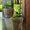 Natur Rattan Pflanzkorb AMRUM Kubu Grey ca.H30cm Pflanztopf Übertopf Korb Bild 4