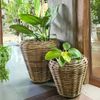 Natur Rattan Pflanzkorb AMRUM Kubu Grey ca.H30cm Pflanztopf Übertopf Korb Bild 3