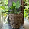 Natur Rattan Pflanzkorb AMRUM Kubu Grey ca.H30cm Pflanztopf Übertopf Korb Bild 2