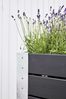 Plus Blumenkasten Cubic 120x50x95 cm m/Räder Druckimprägniert RAL 9005 Schwarz Bild 5