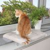 TRIXIE Katzenliege Liegeplatte für Fensterbänke - lichtgrau - 51 × 36 cm Bild 2