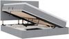 vidaXL Bett mit Stauraum und LED Hellgrau 160 x 200 cm Polyester 3372363 Bild 2