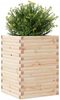 vidaXL Pflanzkübel 50x50x68,5 cm Massivholz Kiefer 3282464 Bild 4