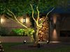 Philips Hue Outdoor Lily XL Spike Spot - Verlängerung Bild 2