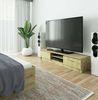 Raumhirsch Furniture Lowboard, TV-Schrank - Elegantes Design für Ihr Wohnzimmer - Fernsehtisch, 120 cm für TV bis 65", 2 Türen, 2 Böden, bis 75 kg, kratzfest Bild 2