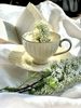 DUO ECRU Tasse 220 ml NINA mit Untertasse, New Bone China Porzellan Bild 5