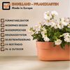 Engelland Blumenkasten mit Wasserspeicher/Drainagesystem und Abstandshalter (Vorteils-Set, 3 St), Blumentopf, 50 cm, PP-Kunststoff, Balkonkasten, länglich, formstabil Bild 2