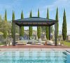 Palram - Canopia Aluminium Pavillon Dallas 4300 | Bild 3