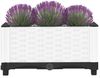 vidaXL Hochbeet 40x40x23 cm Polypropylen 153304 Bild 3