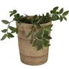 Rattan Wäschekorb Cleo Natur M Bild 5