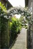 Nature Gartenbogen Metall 229x38x113 cm Schwarz 403654 Bild 3