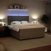 vidaXL Boxspringbett mit Matratze Hellgrau 180x200 cm Samt 3293284 Bild 5