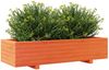 vidaXL Pflanzkübel Wachsbraun 110x40x26,5 cm Massivholz Kiefer 847340 Bild 4