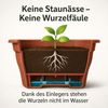 4x Balkonkasten 100cm Blumenkasten mit Wasserspeicher Terrakotta 25 L - Blumenkästen wetterfest Pflanzkasten mit Einsatz Lange Balkonkästen für Garten und Balkon witterungsbeständig Bild 3