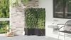 vidaXL Garten-Pflanzgefäß 3 Stk. Schwarz 80 x 80 x 142 cm PP 42002854 Bild 4