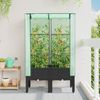 vidaXL Hochbeet mit Gewächshaus-Aufsatz Rattan-Optik 80x40x140 cm 4015819 Bild 3
