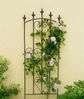 HTI-Living mit Herz-Ornamenten Rankgitter 3er Set Bild 3