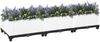 vidaXL Hochbeet 120x40x23 cm Polypropylen 153306 Bild 2