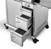 BURNHARD® Gasgrill 3-Brenner inkl. Heckbrenner, mit Gusseisen Grillrost & inkl. stabiler Abdeckhaube, Seitenkochfeld mit Infrarot Keramikbrenner - EARL - Silber - #945994 Bild 4