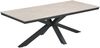 Gardissimo ARMATI Nonwood Alu-Gartentisch Gartenmöbel 220cm (eckig) Bild 2