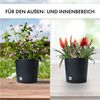 astor24 Blumentopf Blumentopf Rattan Blumenkübel Übertopf Pflanzentopf Pflanzkübel Blumen (Blumentopf Garten Balkon Blumen Topf Kräutertopf), hochwertig verarbeitet - mit Wasserüberlauf - fertig montiert Bild 3