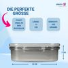 elasto Lunchbox Motiv Brotdose für Kinder 1000 ml für Schule und Kindergarten Bild 2