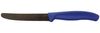 VICTORINOX Frühstücksmesser Swiss Classic silber blau Bild 1