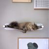 LucyBalu Katzen-Hängematte SWING Katzenhängematte aus Filz Bild 4