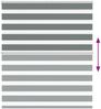 vidaXL Doppelrollo Dunkelgrau 125x150 cm Stoffbreite 120,9 cm Polyester 4014136 Bild 5