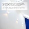 s.luce Beam Wandleuchte Up & Down mit Glaslinsen Aluminium Bild 4