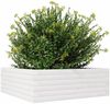 vidaXL Pflanzkübel Weiß 70x70x23 cm Massivholz Kiefer 847194 Bild 4