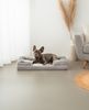 lionto Hundebett premium, orthopädisches Memoryfoam-Bett mit erhöhtem Rand, waschbarem Bezug & stabilem Halt, 89x63x17 cm, grau Bild 2